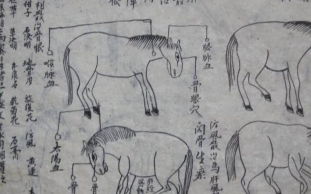 The Element of Elements: The Theory and History Behind Chinese Medicine